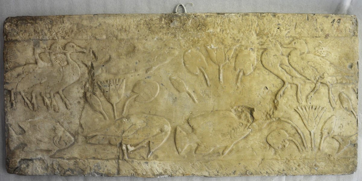 <span class="numbwork">1699</span > <span class="bullwork">•</span > Aves y peces del jardín - Image 2
