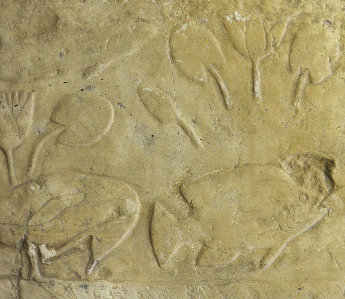 <span class="numbwork">1699</span > <span class="bullwork">•</span > Aves y peces del jardín