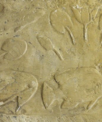 <span class="numbwork">1699</span > <span class="bullwork">•</span > Aves y peces del jardín