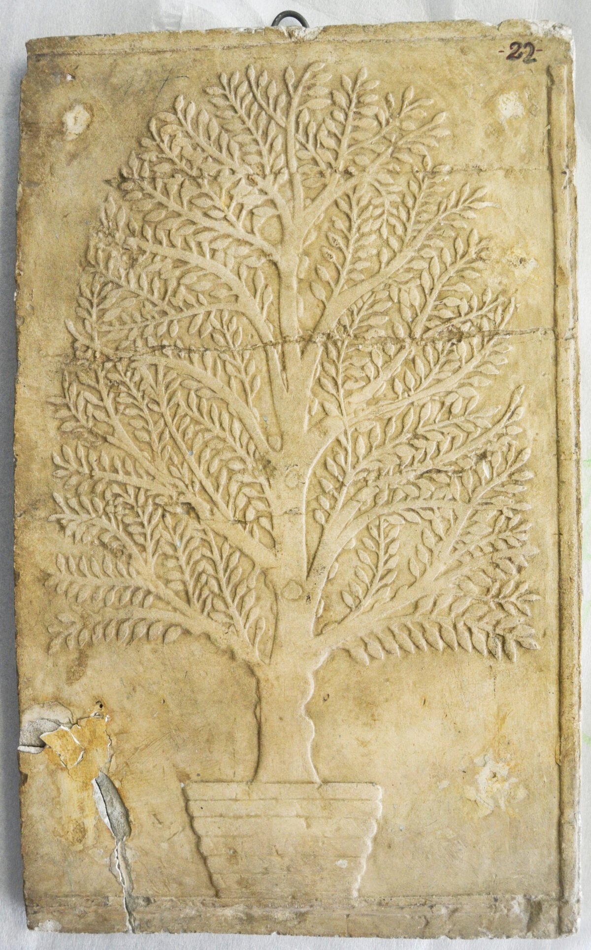 <span class="numbwork">1700</span > <span class="bullwork">•</span > Árbol de mirra - Image 2