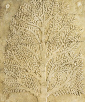 <span class="numbwork">1700</span > <span class="bullwork">•</span > Árbol de mirra