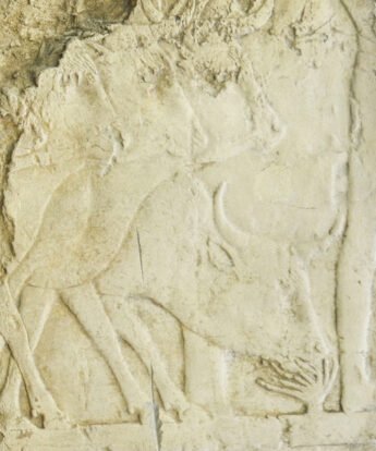 <span class="numbwork">1703</span > <span class="bullwork">•</span > Ganado