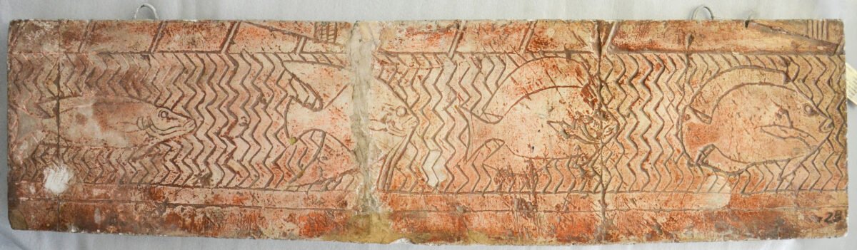 <span class="numbwork">1709</span > <span class="bullwork">•</span > Peces del mar Rojo - Image 2