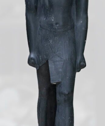 <span class="numbwork">1714</span > <span class="bullwork">•</span > Cuerpo humano