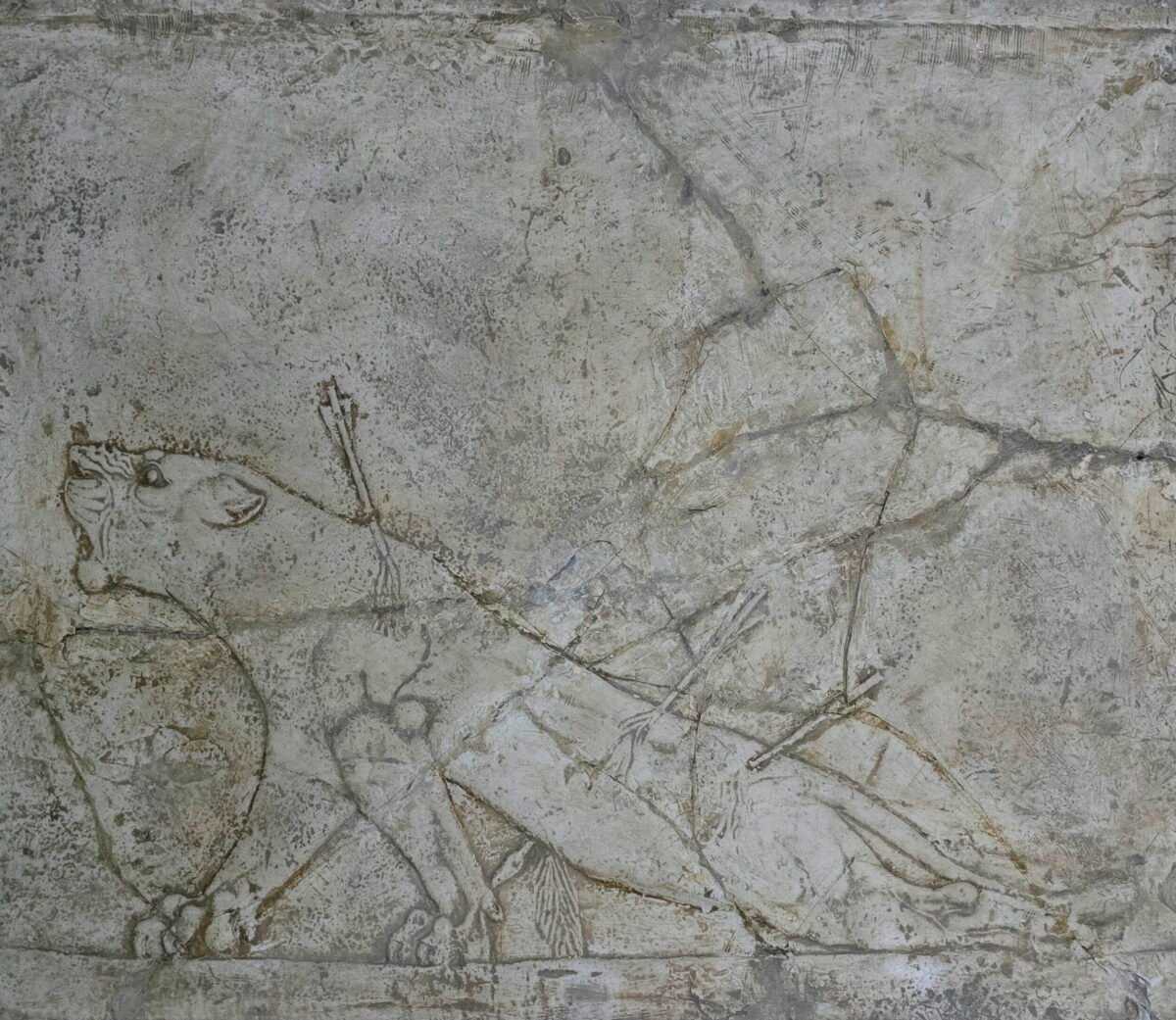 <span class="numbwork">1719</span > <span class="bullwork">•</span > La leona herida
