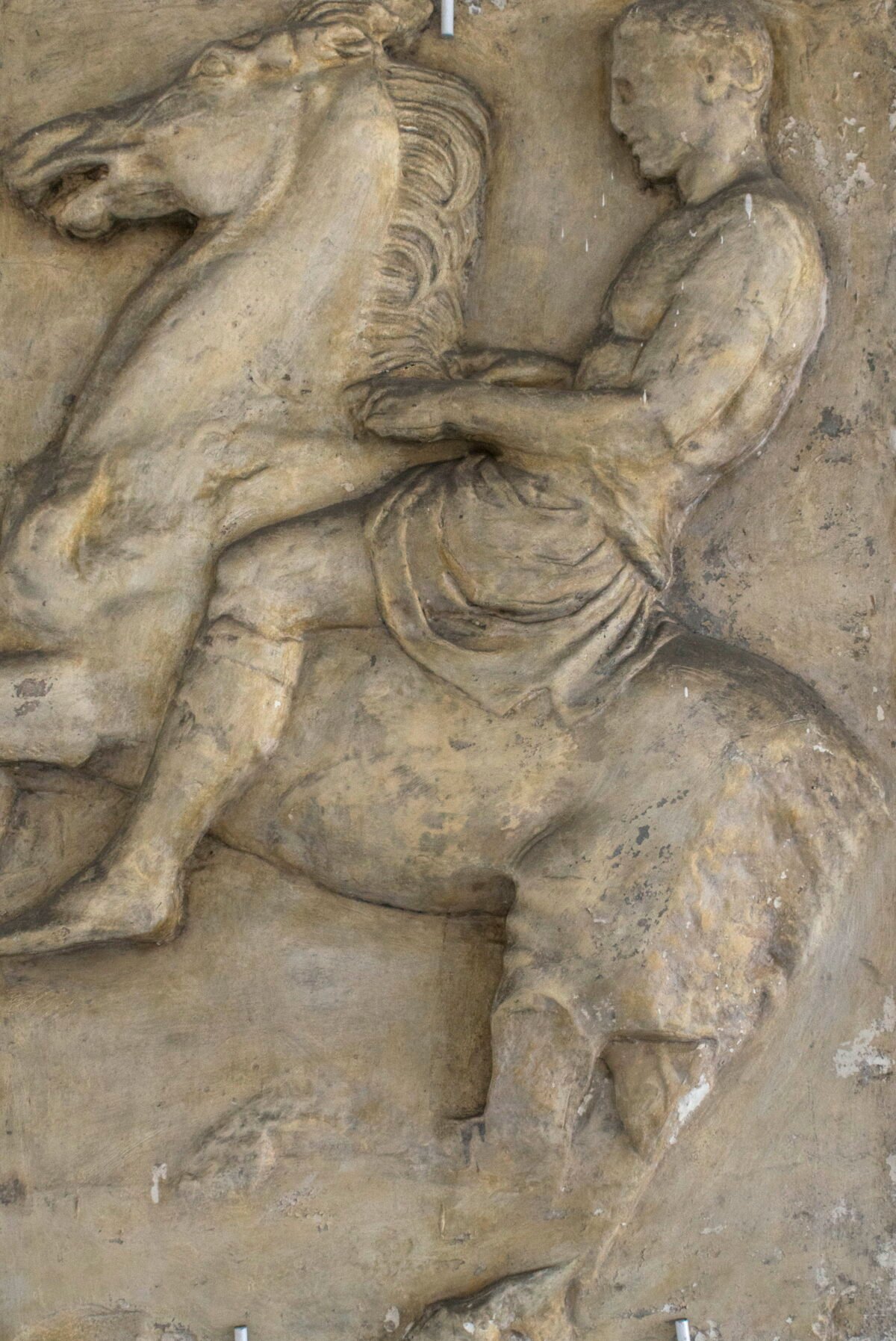 <span class="numbwork">1732</span > <span class="bullwork">•</span > Jinete