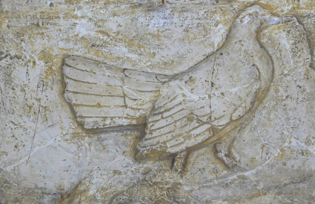 <span class="numbwork">1751</span > <span class="bullwork">•</span > Gallina