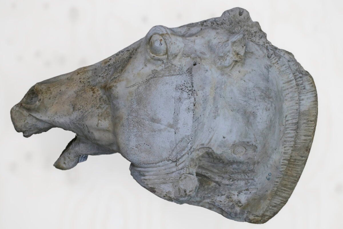 <span class="numbwork">1763</span > <span class="bullwork">•</span > Cabeza de uno de los caballos de la carroza de Selene (luna) - Image 3