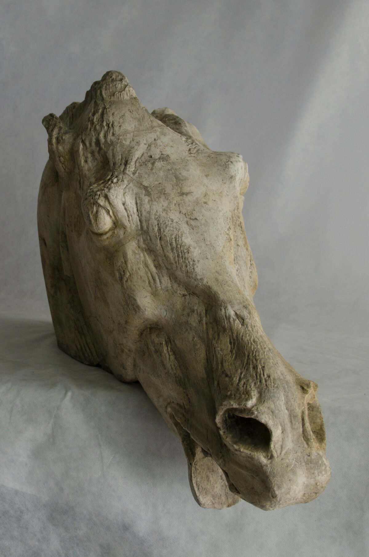 <span class="numbwork">1763</span > <span class="bullwork">•</span > Cabeza de uno de los caballos de la carroza de Selene (luna) - Image 2