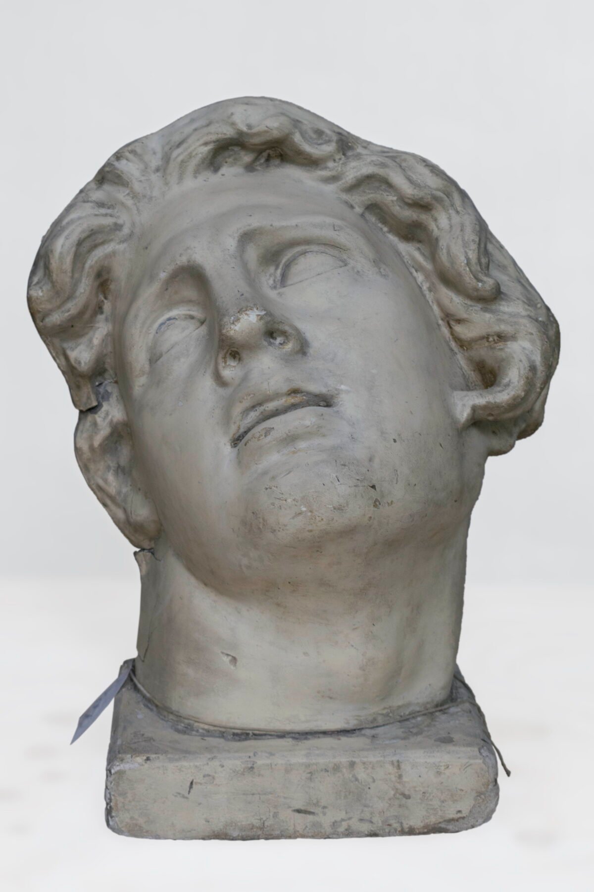 <span class="numbwork">1783</span > <span class="bullwork">•</span > Cabeza de hombre (Alejandro moribundo) - Image 2