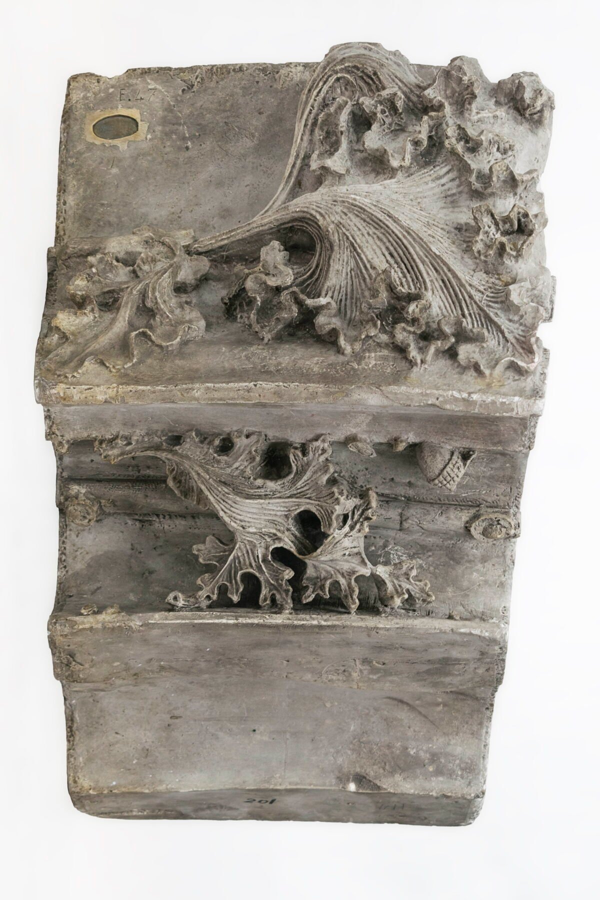 <span class="numbwork">1797</span > <span class="bullwork">•</span > Diseño decorativo ornamental (1) - Image 8