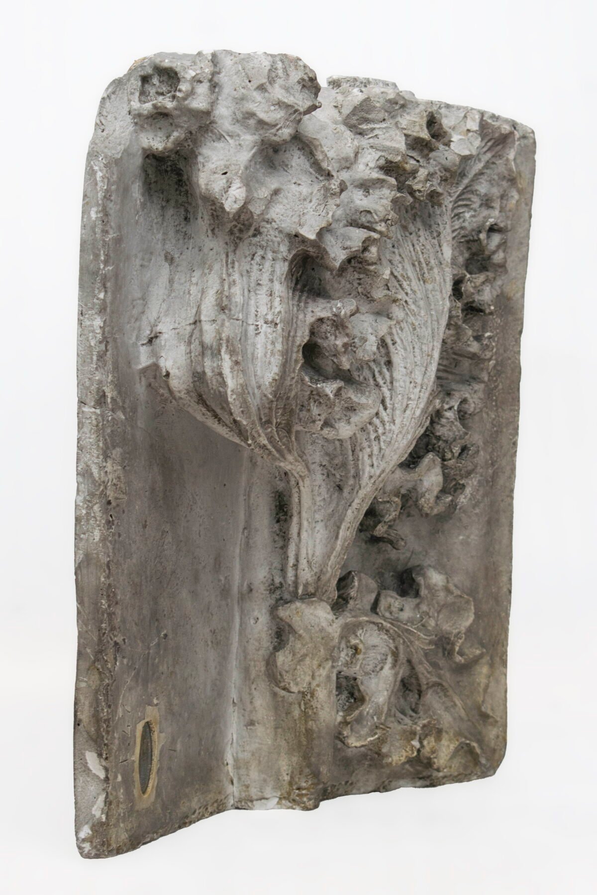 <span class="numbwork">1797</span > <span class="bullwork">•</span > Diseño decorativo ornamental (1) - Image 2