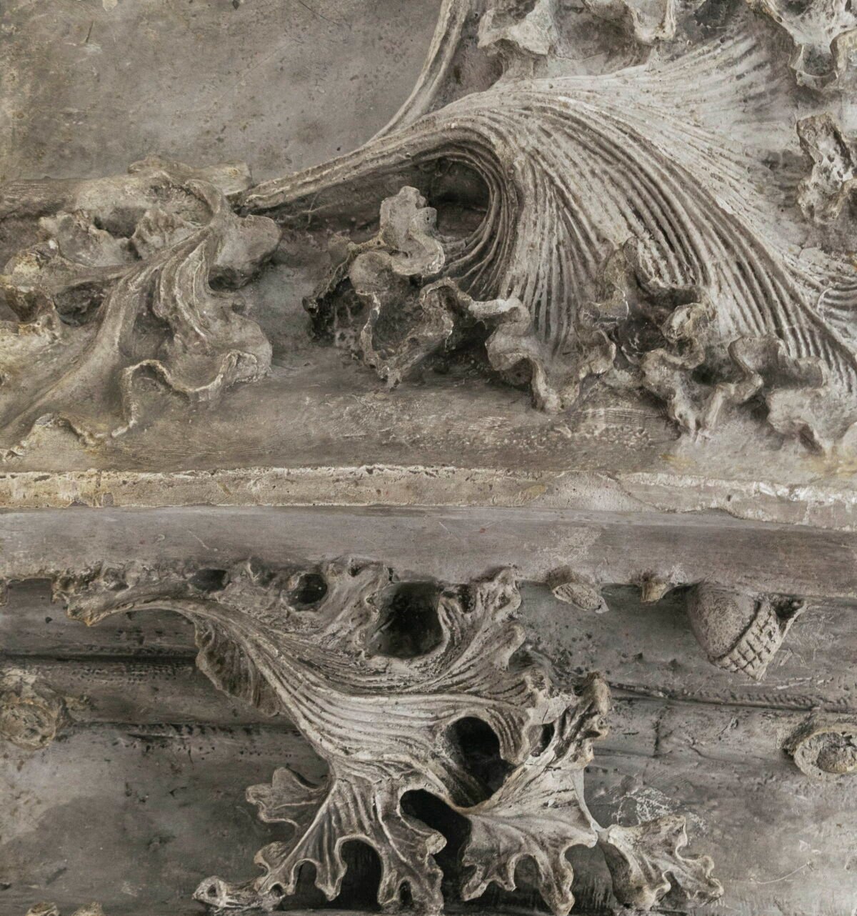 <span class="numbwork">1797</span > <span class="bullwork">•</span > Diseño decorativo ornamental (1)