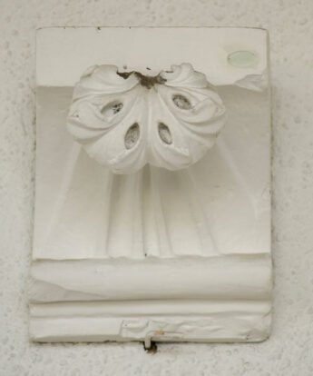 <span class="numbwork">1798</span > <span class="bullwork">•</span > Motivo ornamental (1)