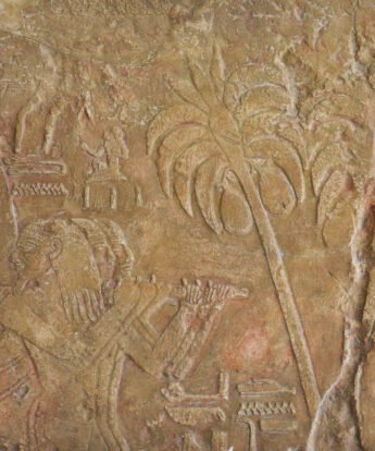 <span class="numbwork">1689</span > <span class="bullwork">•</span > Soldados de Hatshepsut transportando los tesoros de Punt