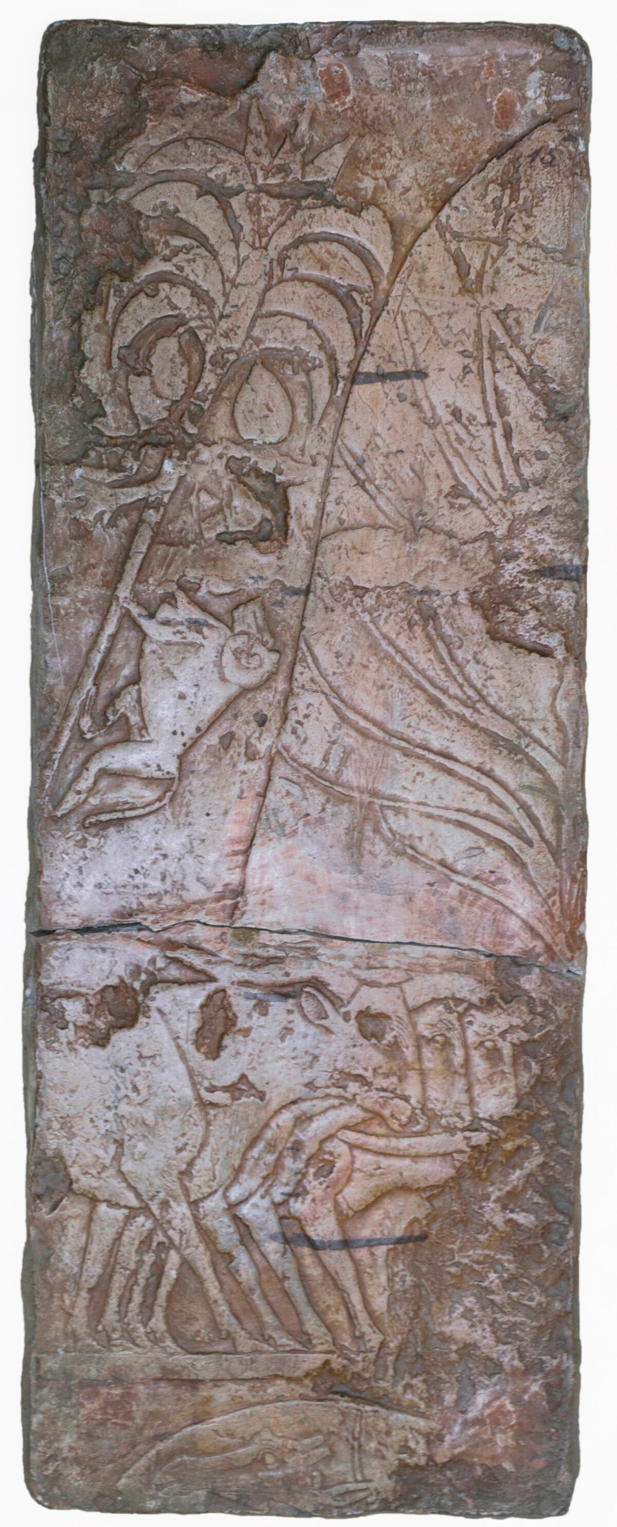 <span class="numbwork">2283</span > <span class="bullwork">•</span > Mono trepando a una palma - Image 2