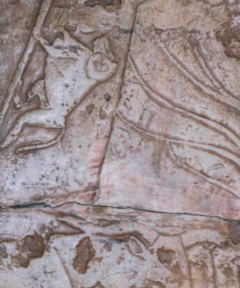 <span class="numbwork">2283</span > <span class="bullwork">•</span > Mono trepando a una palma